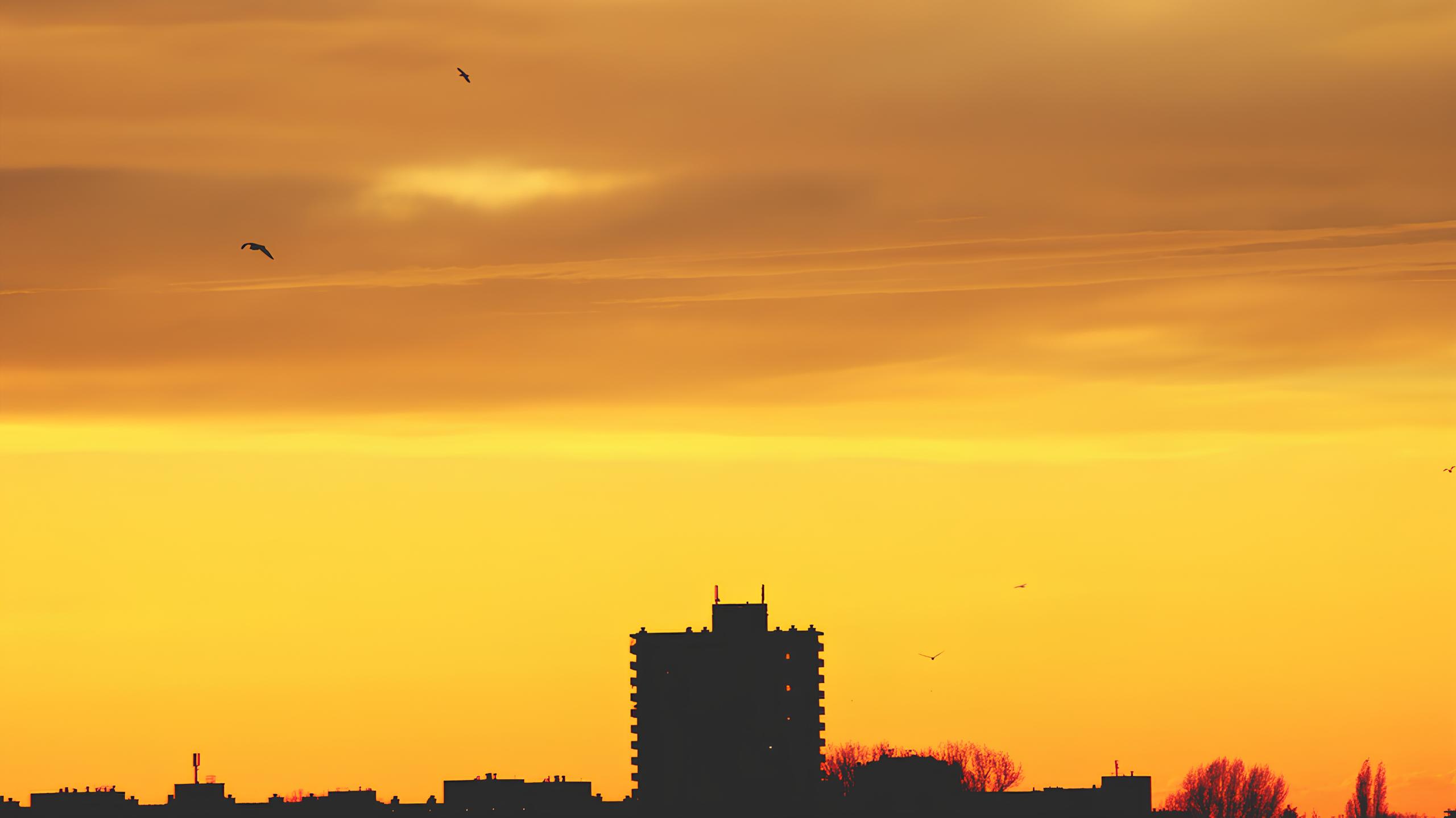 O Sinal Vermelho do Clima: Como a Baixa Umidade Coloca Campinas e Região em Alerta Amarelo 1