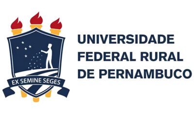 Quando a Informa o Se Perde na Rede A Batalha pela Transpar ncia e Acessibilidade no Brasil