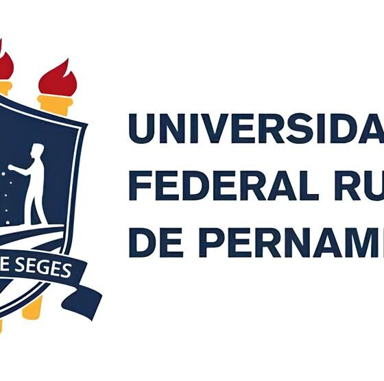 Quando a Informação Se Perde na Rede: A Batalha pela Transparência e Acessibilidade no Brasil 2 Quando a Informa o Se Perde na Rede A Batalha pela Transpar ncia e Acessibilidade no Brasil