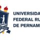 Quando a Informa o Se Perde na Rede A Batalha pela Transpar ncia e Acessibilidade no Brasil