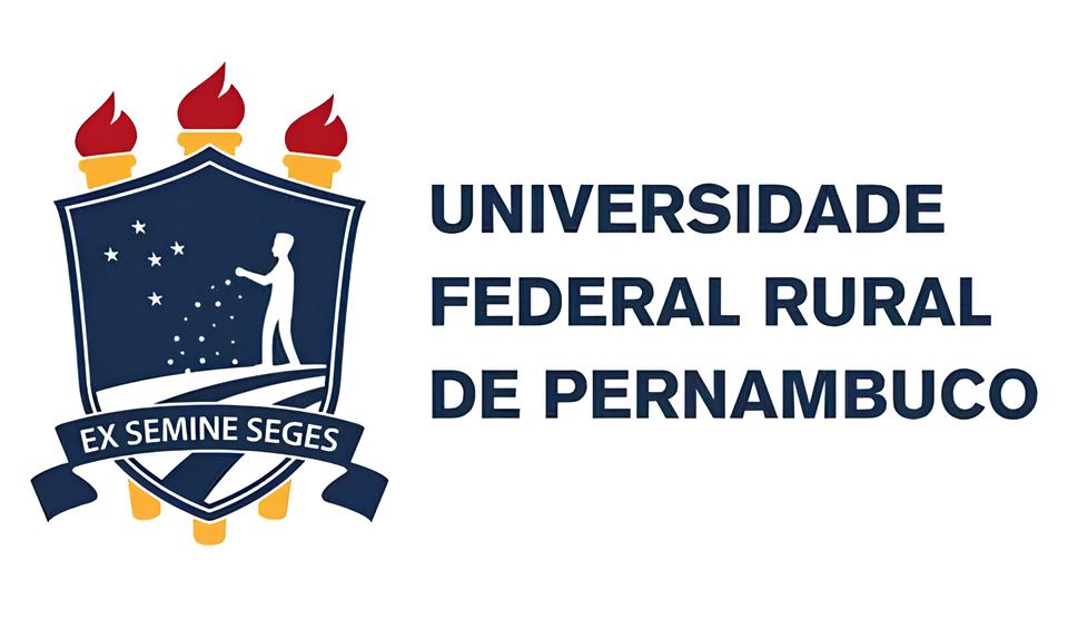 Quando a Informa o Se Perde na Rede A Batalha pela Transpar ncia e Acessibilidade no Brasil