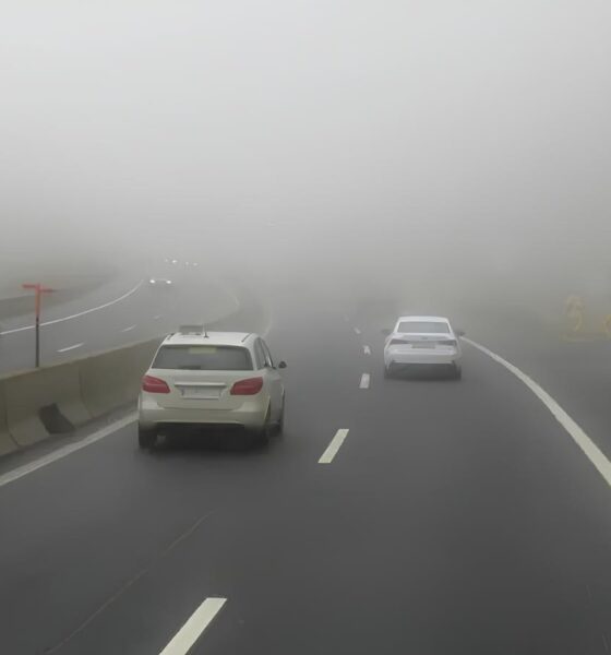 Quando a Neblina Entra em Cena: A Batalha Diária dos Motoristas nas Estradas de Campinas e Região 2 Quando a Neblina Entra em Cena A Batalha Di ria dos Motoristas nas Estradas de Campinas e Regi o