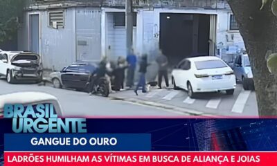 Quando o Prazer Vira Pesadelo Como uma Gangue Movimentou R 1 2 Milh o em Extors o no Submundo das Boates