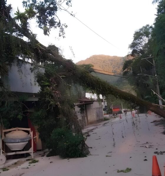 Ubatuba Sob Tempestade: O Dia em que o Vento Mudou a Cidade Para Sempre 2 Ubatuba Sob Tempestade O Dia em que o Vento Mudou a Cidade Para Sempre