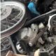 Um Dep sito de Sombras Como uma Oficina Comum Encobria um Esquema Milion rio de Motocicletas Roubadas