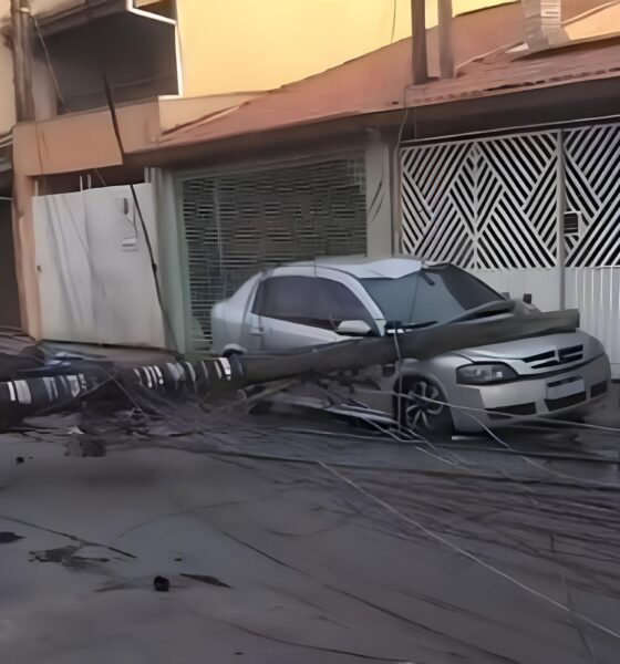 Ventania Derruba Poste Sobre Carro em São José: O Dia em Que a Natureza Desafiou o Homem 2 Ventania Derruba Poste Sobre Carro em S o Jos O Dia em Que a Natureza Desafiou o Homem