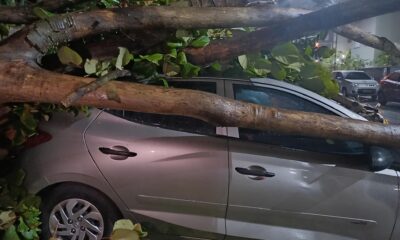 Ventania em S o Paulo O Dia em que o C u Decidiu Fechar as Portas de Guarulhos