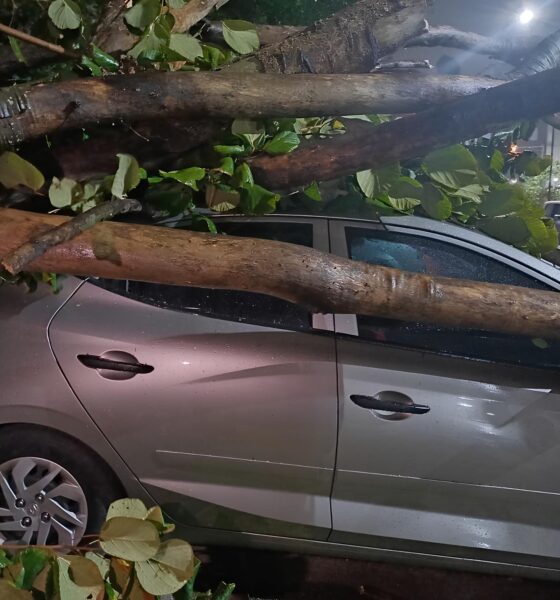 Ventania em São Paulo: O Dia em que o Céu Decidiu Fechar as Portas de Guarulhos 2 Ventania em S o Paulo O Dia em que o C u Decidiu Fechar as Portas de Guarulhos
