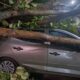 Ventania em S o Paulo O Dia em que o C u Decidiu Fechar as Portas de Guarulhos
