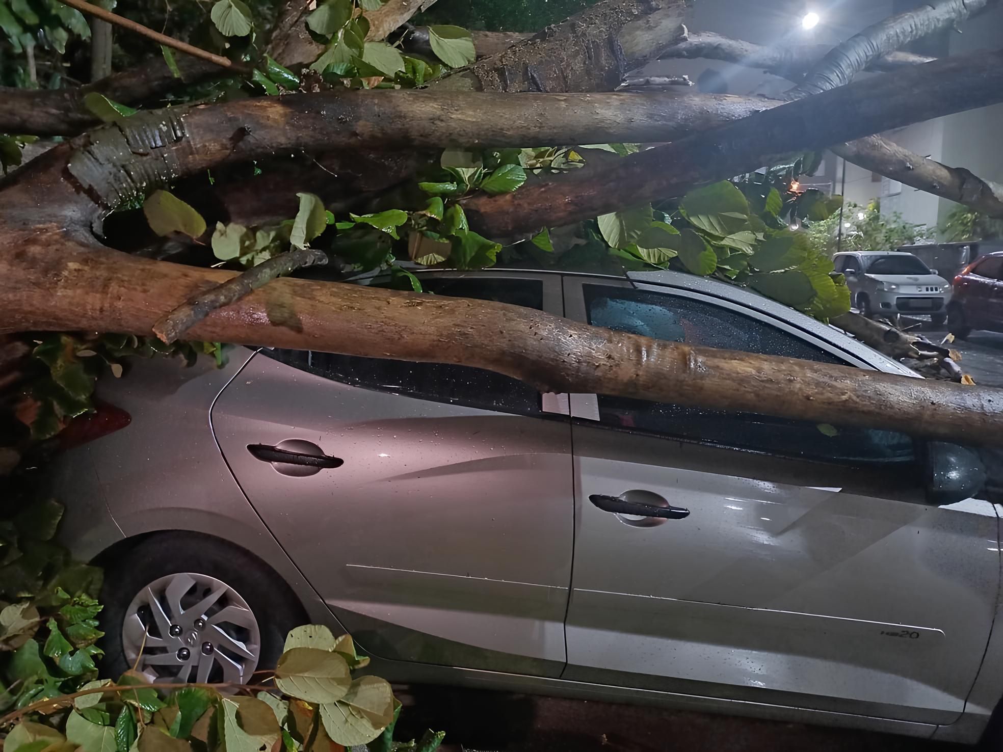 Ventania em São Paulo: O Dia em que o Céu Decidiu Fechar as Portas de Guarulhos 1 Ventania em S o Paulo O Dia em que o C u Decidiu Fechar as Portas de Guarulhos