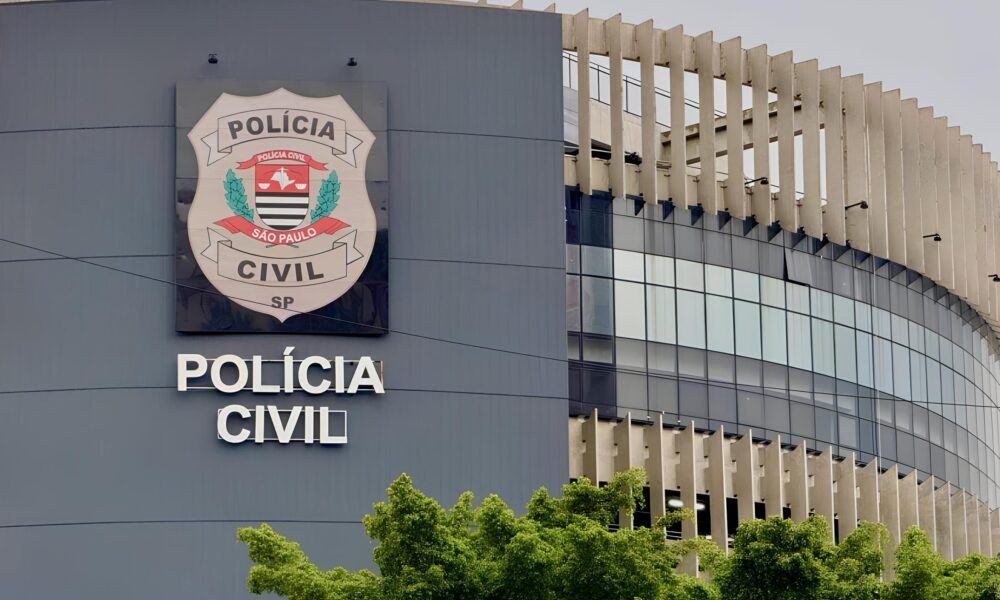 A Grande Ofensiva Contra a Viol ncia Dom stica Como S o Paulo Est Mudando o Jogo em Defesa das Mulheres