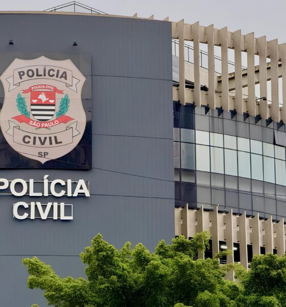 A Grande Ofensiva Contra a Viol ncia Dom stica Como S o Paulo Est Mudando o Jogo em Defesa das Mulheres