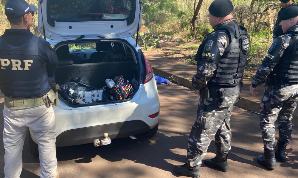 A Grande Opera o que Desmascarou o Submundo do Tr fico 70kg de Maconha Apreendidos em Camb