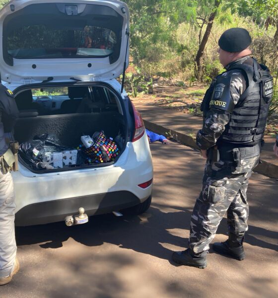 A Grande Operação que Desmascarou o Submundo do Tráfico: 70kg de Maconha Apreendidos em Cambé 2 A Grande Opera o que Desmascarou o Submundo do Tr fico 70kg de Maconha Apreendidos em Camb
