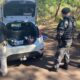 A Grande Opera o que Desmascarou o Submundo do Tr fico 70kg de Maconha Apreendidos em Camb