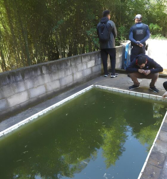 A Guerra Contra o Aedes Como Campinas Est Usando Tecnologia e Estrat gia para Combater a Dengue em 2025
