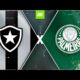 Botafogo x Palmeiras O Duelo de Gigantes Promete Incendiar o Brasileir o 2025