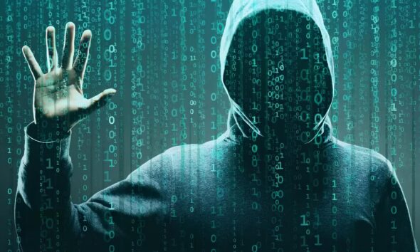 Campinas Pode Ser o Farol no Combate Cyberpedofilia Um Raio de Esperan a no Mundo Digital