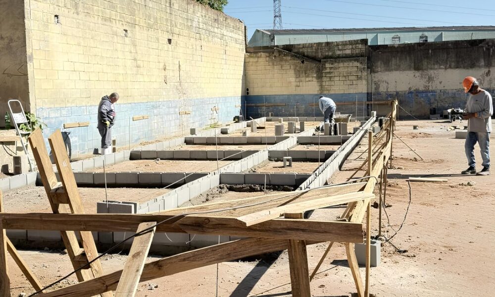 Campinas Reinventa o Futuro dos Animais Resgatados Uma Jornada de Esperan a e Transforma o
