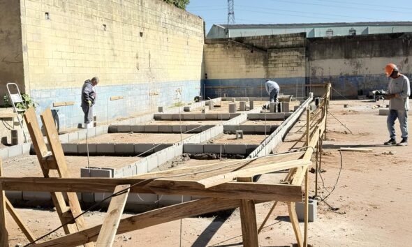 Campinas Reinventa o Futuro dos Animais Resgatados Uma Jornada de Esperan a e Transforma o
