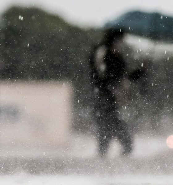 Campinas Sob o Signo das Nuvens: Como uma Quarta-feira Atípica Revela os Humores do Clima 2 Campinas Sob o Signo das Nuvens Como uma Quarta feira At pica Revela os Humores do Clima
