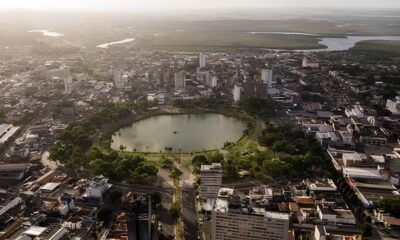 Campinas Transforma o Futuro dos Animais 1 200 Vagas para Castra o Gratuita Promovem Sa de e Bem Estar na Regi o