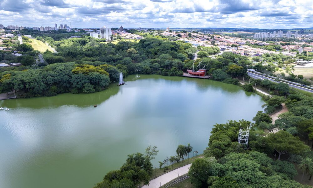 Campinas a Nova Capital da Oportunidade Por Que Esta Cidade Est Mudando o Jogo no Brasil