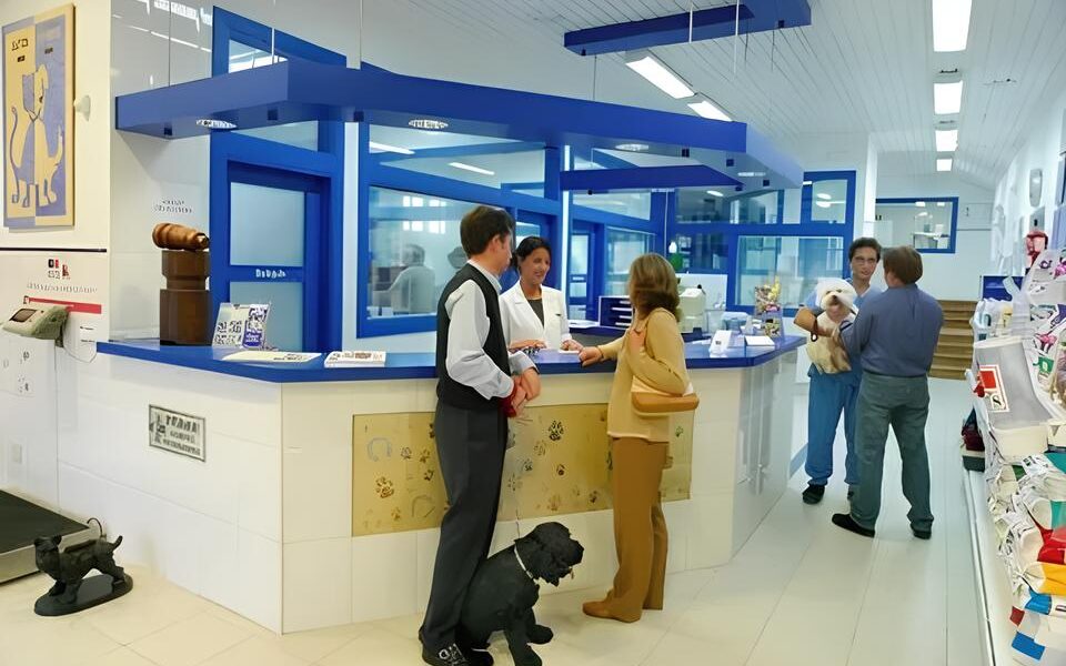 Como Campinas Revolucionou o Bem Estar Animal em 2025 O Que Voc Precisa Saber Sobre os N meros Recorde do DPBEA