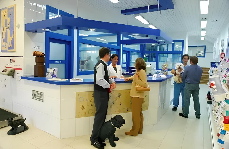 Como Campinas Revolucionou o Bem-Estar Animal em 2025: O Que Você Precisa Saber Sobre os Números Recorde do DPBEA 1 Como Campinas Revolucionou o Bem Estar Animal em 2025 O Que Voc Precisa Saber Sobre os N meros Recorde do DPBEA