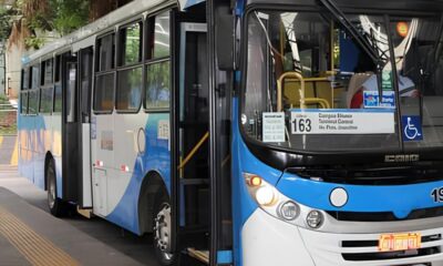 Como Duas Linhas de nibus Est o Redefinindo a Mobilidade em Campinas e Regi o