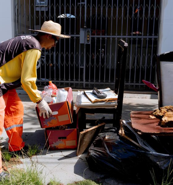 Como Piracicaba Está Lutando Contra o Aedes aegypti: O Dia em que Um Arrastão Mudou as Estatísticas da Dengue 2 Como Piracicaba Est Lutando Contra o Aedes aegypti O Dia em que Um Arrast o Mudou as Estat sticas da Dengue