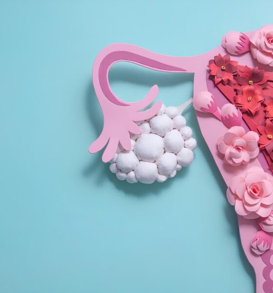 Como a Ginecologia e Obstetrícia Está Redefinindo o Futuro da Saúde Feminina: Descubra os Maiores Avanços do SOGESP 2025 2 Como a Ginecologia e Obstetr cia Est Redefinindo o Futuro da Sa de Feminina Descubra os Maiores Avan os do SOGESP 2025