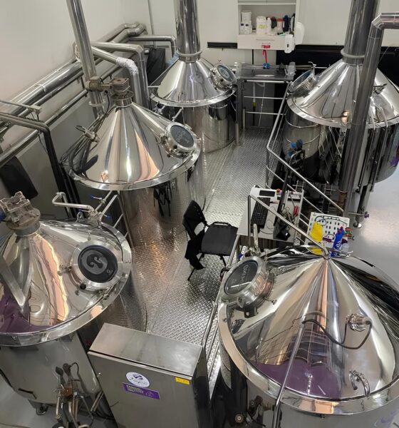 Como uma Cerveja sem lcool Est Revolucionando o Hub Tecnol gico de Campinas e Reescrevendo as Regras do Mercado