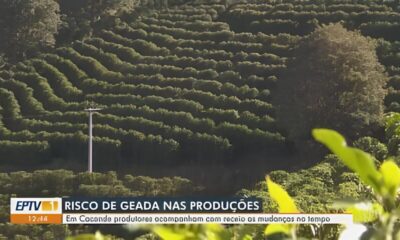 Final de Semana em Campinas Sol Estabilidade e o Encanto do Clima Perfeito no Interior Paulista