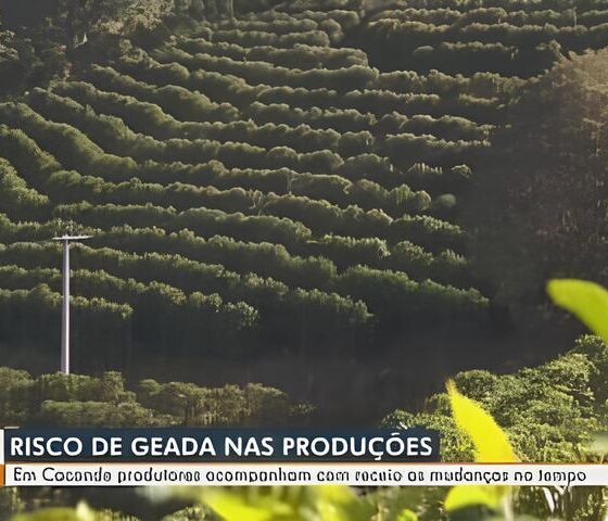 Final de Semana em Campinas Sol Estabilidade e o Encanto do Clima Perfeito no Interior Paulista
