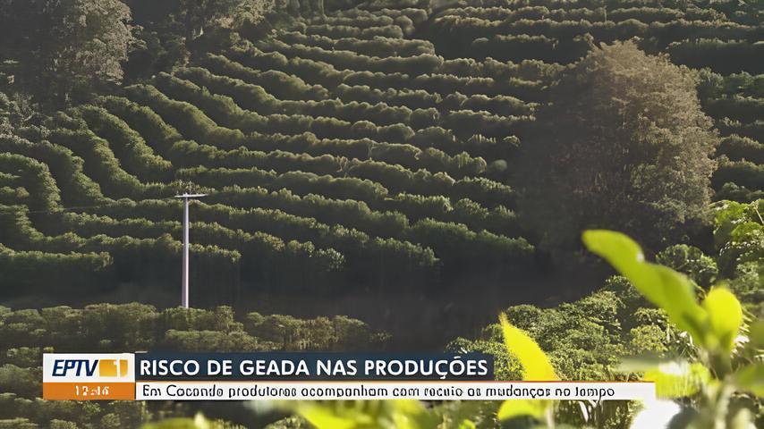 Final de Semana em Campinas Sol Estabilidade e o Encanto do Clima Perfeito no Interior Paulista