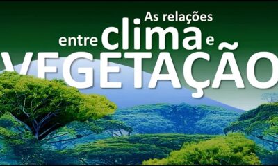 Inc ndio em Jaguari na Quando a Natureza Pede Socorro Quem Responde ao Chamado