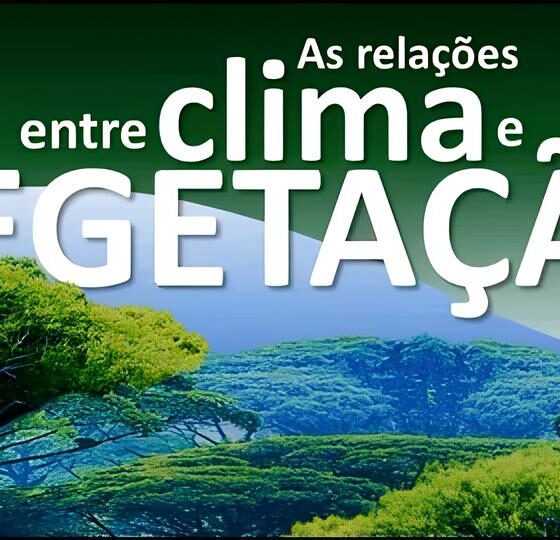Incêndio em Jaguariúna: Quando a Natureza Pede Socorro, Quem Responde ao Chamado? 2 Inc ndio em Jaguari na Quando a Natureza Pede Socorro Quem Responde ao Chamado