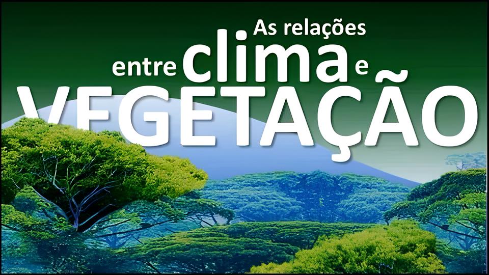 Inc ndio em Jaguari na Quando a Natureza Pede Socorro Quem Responde ao Chamado