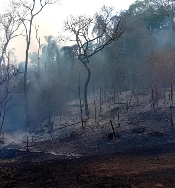 Incêndio em Valinhos: A Batalha Contra o Fogo na Rodovia Francisco Von Zuben 2 Inc ndio em Valinhos A Batalha Contra o Fogo na Rodovia Francisco Von Zuben