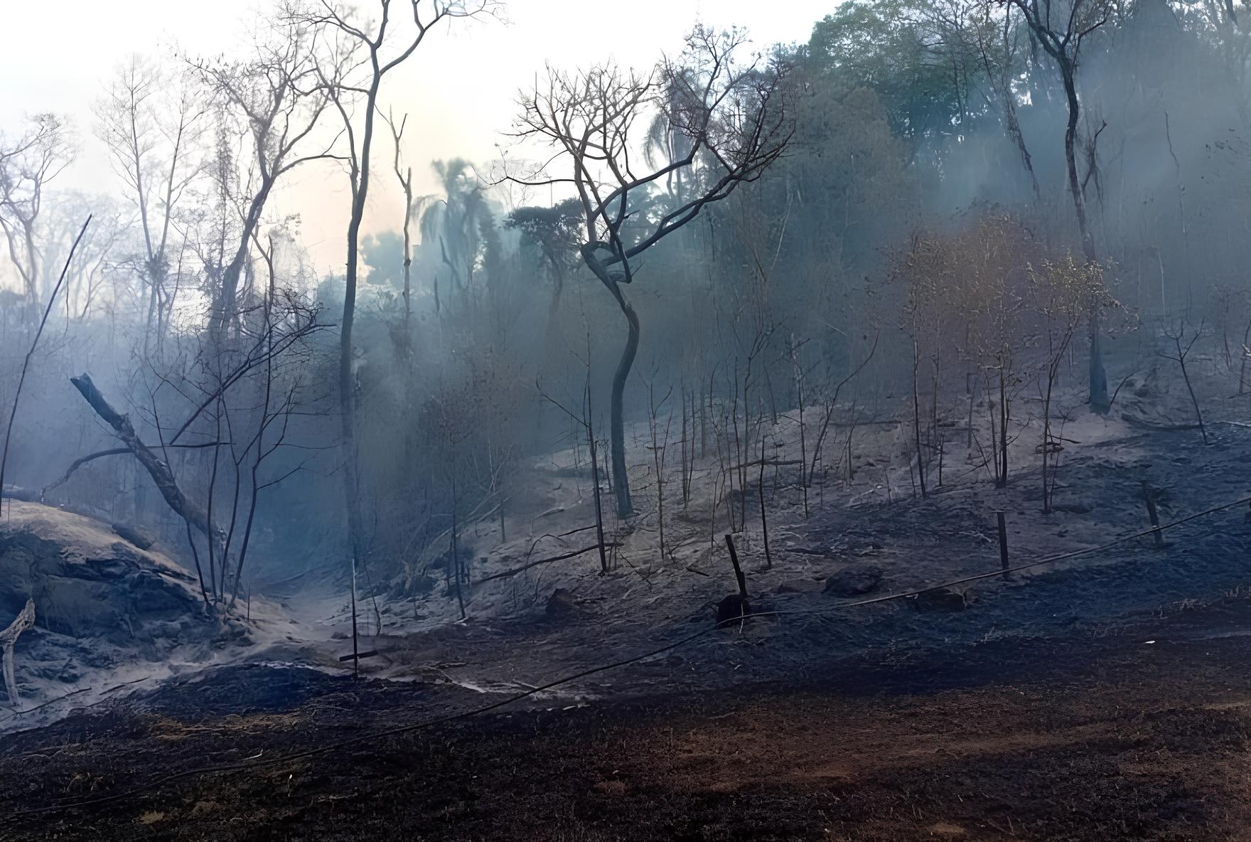 Incêndio em Valinhos: A Batalha Contra o Fogo na Rodovia Francisco Von Zuben 1 Inc ndio em Valinhos A Batalha Contra o Fogo na Rodovia Francisco Von Zuben