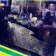 O Ataque Inesperado Adolesc ncia Deriva e o Caos no Transporte Coletivo de Campinas