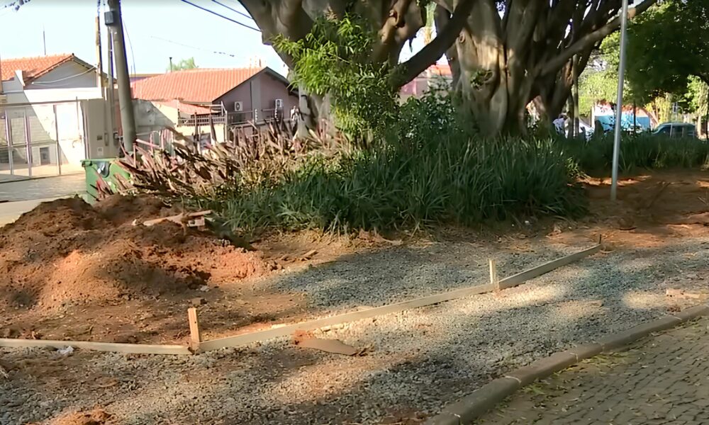O Caso da Pra a Silva Rego Quando a Batalha Entre Progresso e Natureza Chega s Ruas de Campinas