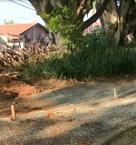 O Caso da Pra a Silva Rego Quando a Batalha Entre Progresso e Natureza Chega s Ruas de Campinas