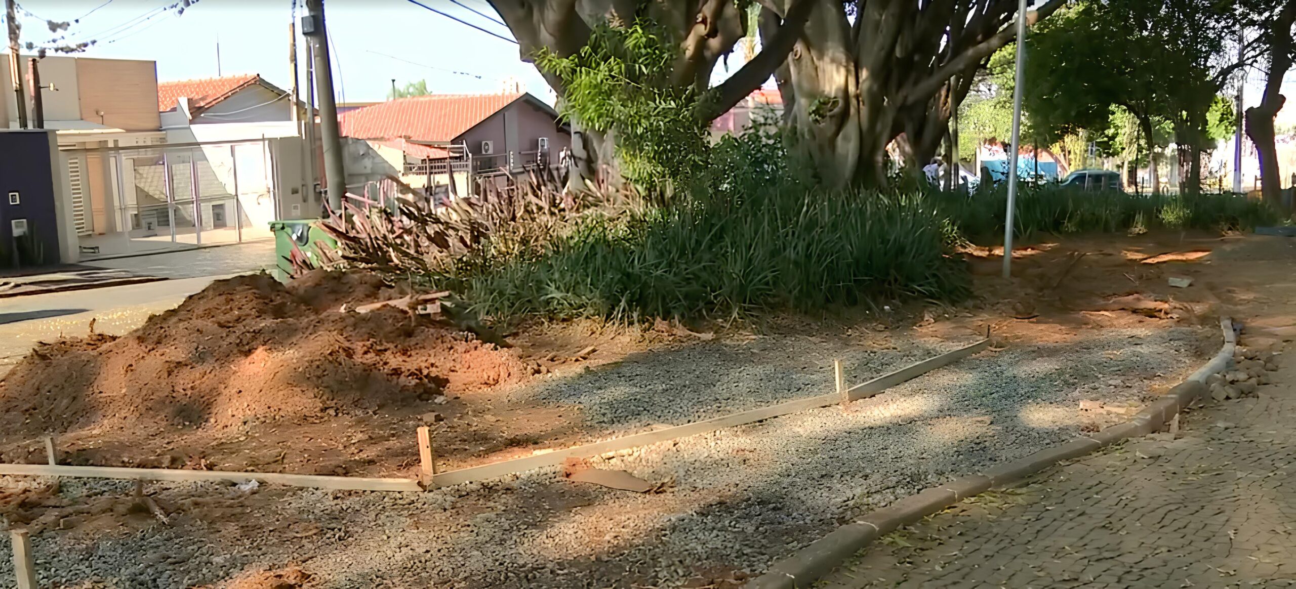 O Caso da Pra a Silva Rego Quando a Batalha Entre Progresso e Natureza Chega s Ruas de Campinas scaled