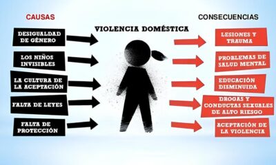 O Caso que Chocou Ara atuba A Viol ncia Dom stica que Virou Not cia Nacional