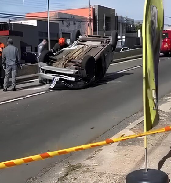 O Dia em que o Tempo Parou O Acidente no Jardim Novo Campos El seos