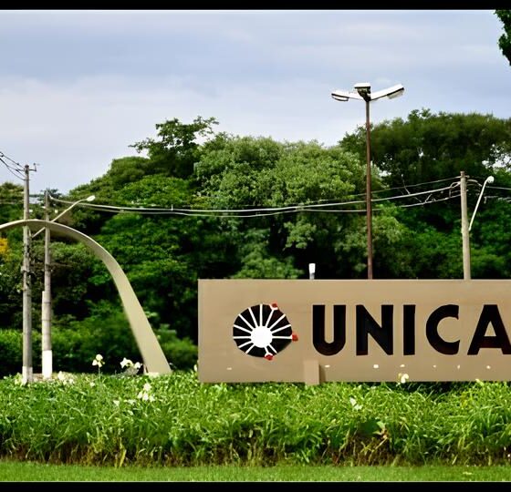 O Futuro Est Aqui Como o Concurso da Unicamp Pode Transformar Vidas em 2025