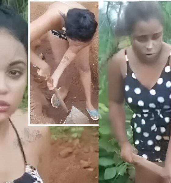 O Grito Silencioso: Como o Brasil Está Transformando a Luta Contra a Violência às Mulheres em Esperança e Ação 2 O Grito Silencioso Como o Brasil Est Transformando a Luta Contra a Viol ncia s Mulheres em Esperan a e A o