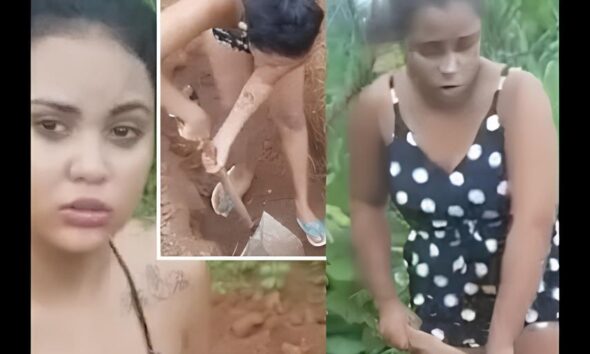 O Grito Silencioso Como o Brasil Est Transformando a Luta Contra a Viol ncia s Mulheres em Esperan a e A o